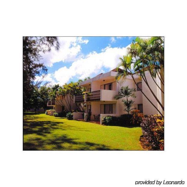 Plum Tree Club Apartment Christ Church Exterior photo
